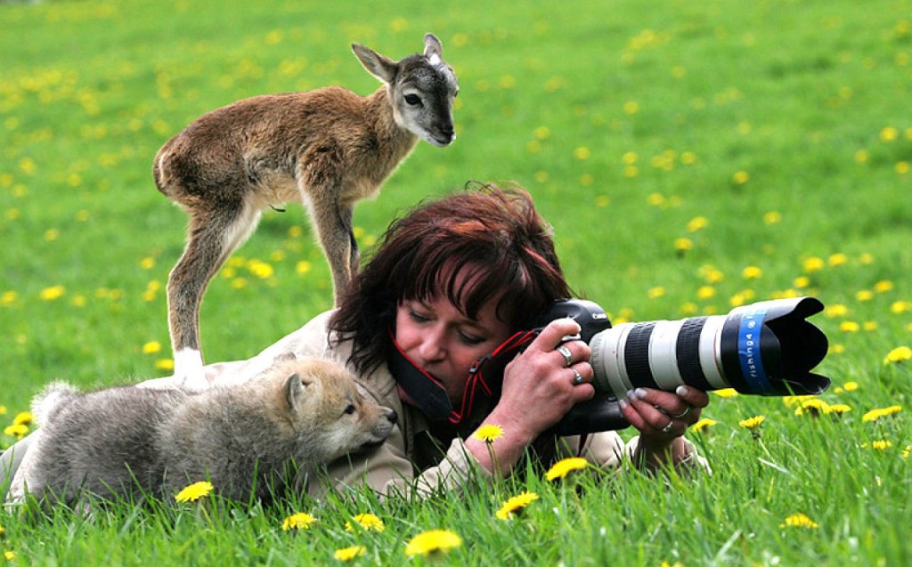 Как фотографировать животных.
